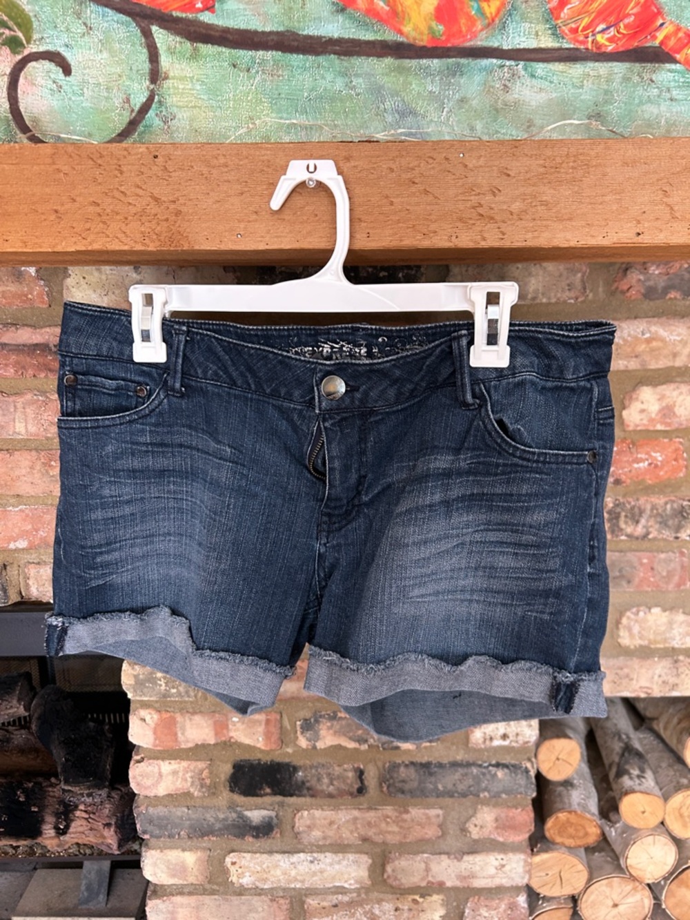 Express Dark Wash Denim Women’s Shorts